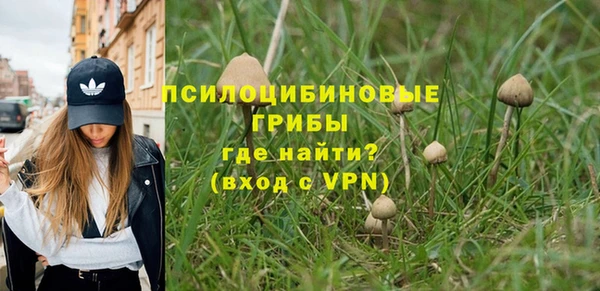 стафф Гусь-Хрустальный