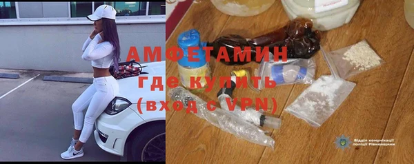 шишки Дмитриев